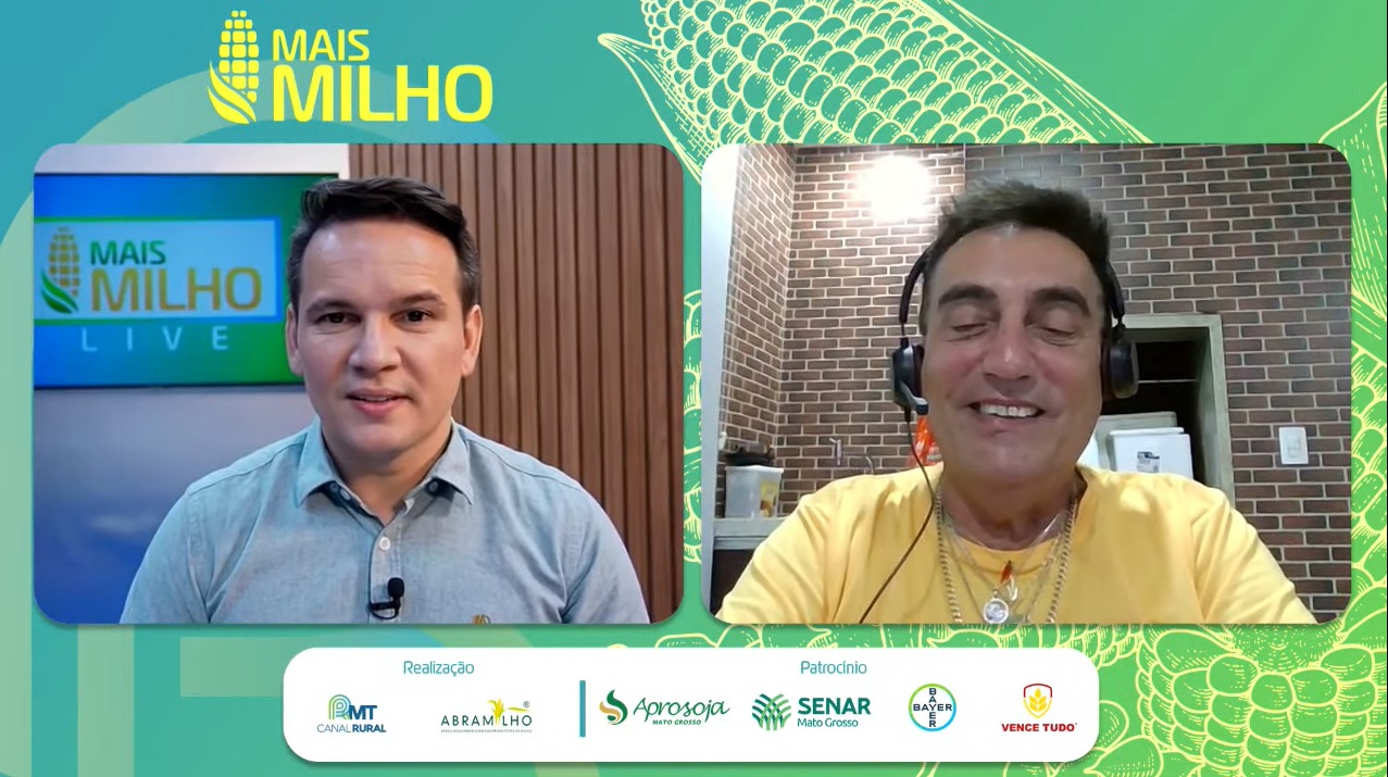 Live Mais Milho cigarrinha